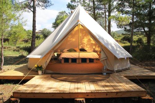 Ofertas en Forest Days (Tented camp), Navès (España)