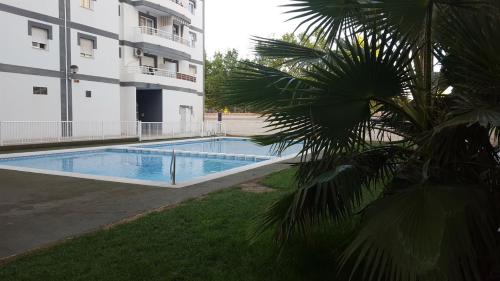 Ofertas en appartement avec piscine (Apartamento), San Vicente del Raspeig (España)