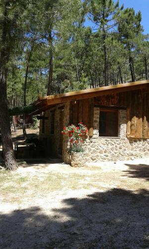 Ofertas en Cabaña en plena naturaleza Parque Natural Río mundo (Casa rural), Riópar (España)