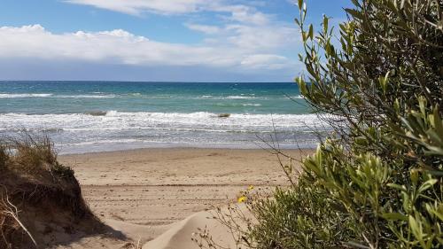 Ofertas en el Marbella Beach, apartamento para 2 en Alvarito Playa, playa del Alicate (Apartamento) (España)