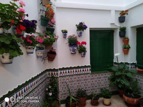 Ofertas en CULTURAS Y COLORES EN ALMAGRO (Apartamento), Almagro (España)
