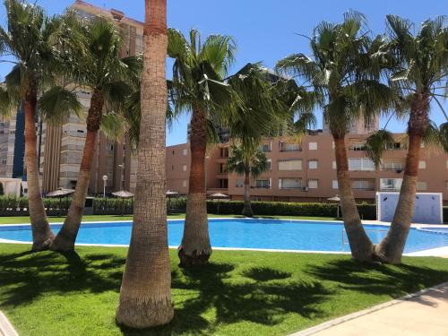 Ofertas en Residencial Sol y Mar (Apartamento), La Pobla de Farnals (España)