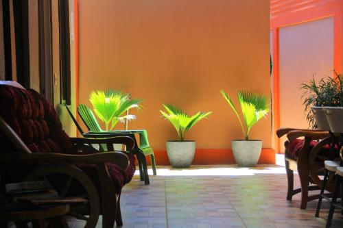 Ofertas en Apartamentos Mansión Tropical (Posada u hostería), Quepos (Costa Rica)