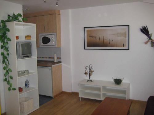 Ofertas en Apartamento en pistas de esquí (Apartamento), Candanchú (España)