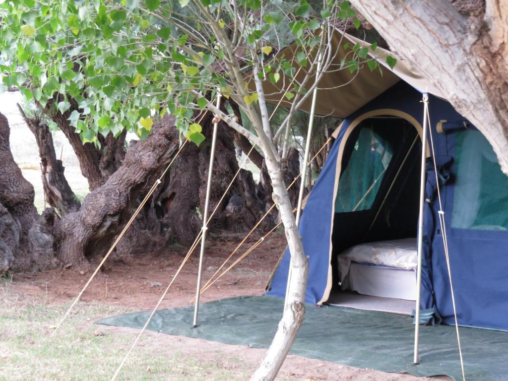 Tented camp Karoo Gariep Tented Camp