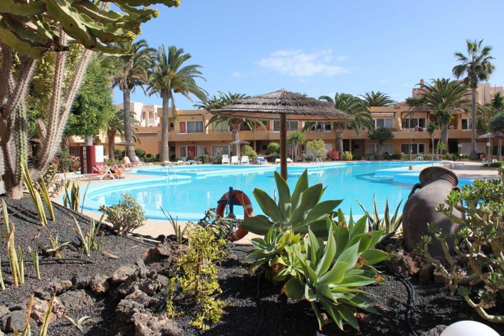 Apartamento Apartment "Apple" in Corralejo Heart with Swimming Pool & Wifi- Only 300m to the Beach by Holidays Home