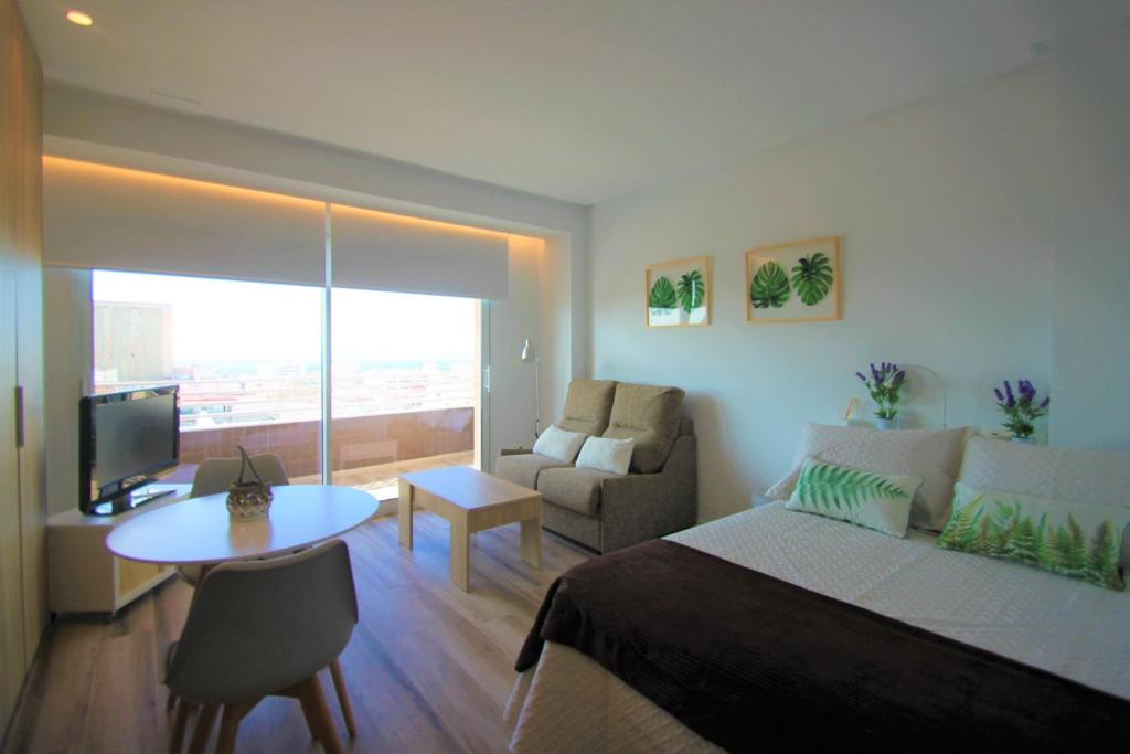 Apartamento CasaTuris Estudio con vistas que enamoran en Centro de Alicante A119