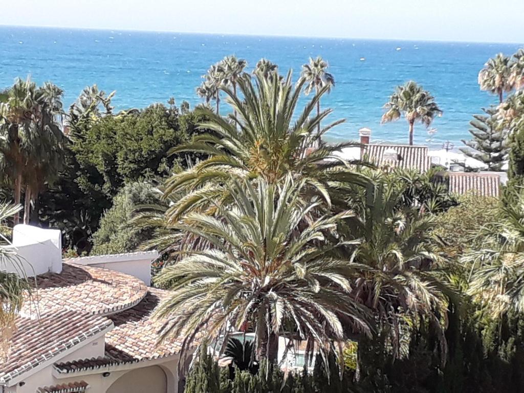 Apartamento Marbella. Playa Alicate