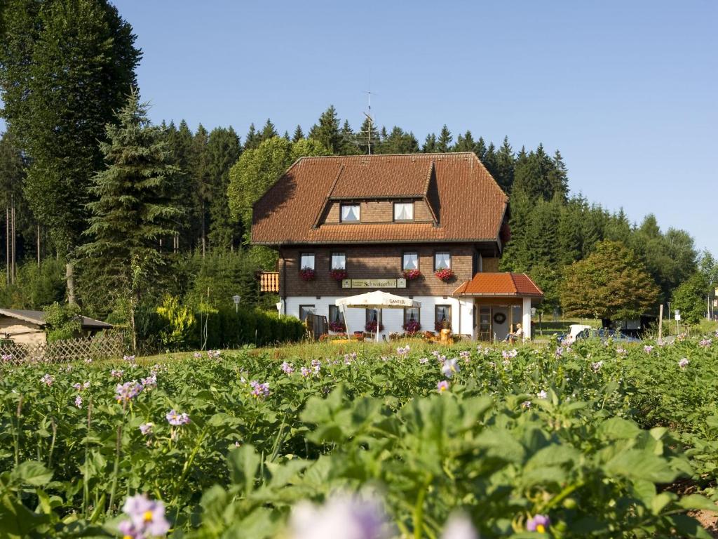 Hostal o pensión Gasthaus Schweizerhof
