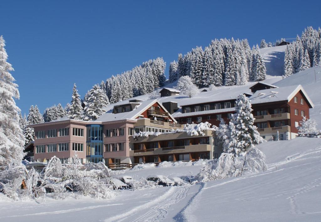 Hotel Ferien- und Familienhotel Alpina Adelboden