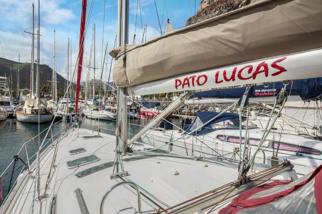 Apartamento Pato Lucas Sail Boat