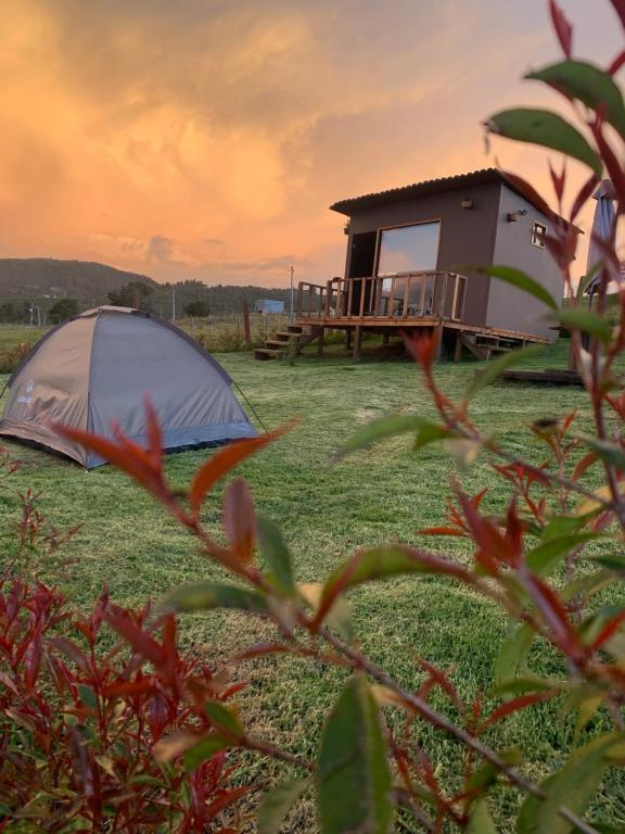 Camping Cabaña la calera finca Bellavista