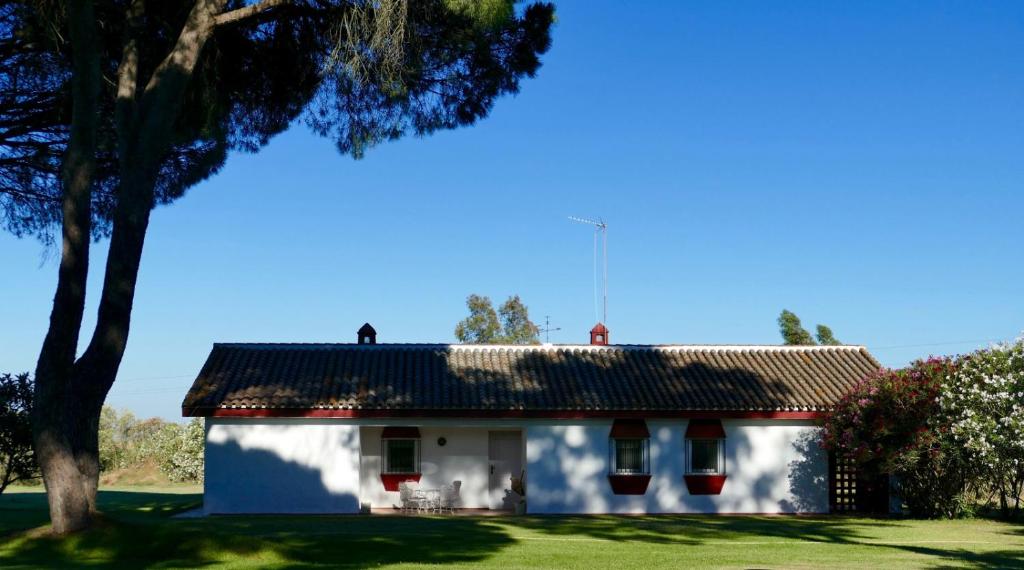 Casa o chalet La casita de Hato Pinos, un rincón en Doñana