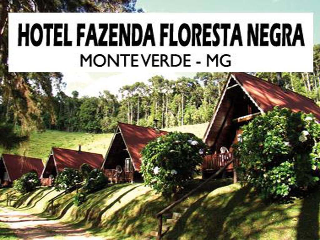Hotel Hotel Fazenda Floresta Negra