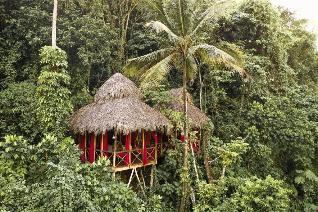 Resort Dominican Tree House Village