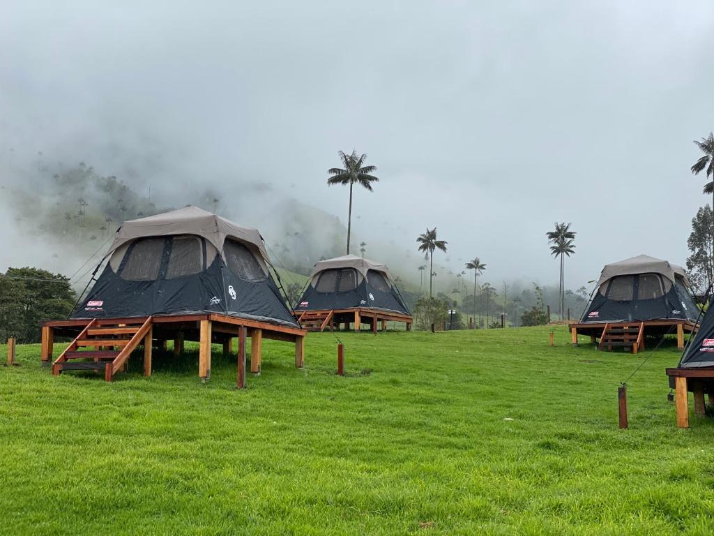 Tented camp Refugio Nidos del Condor Cocora