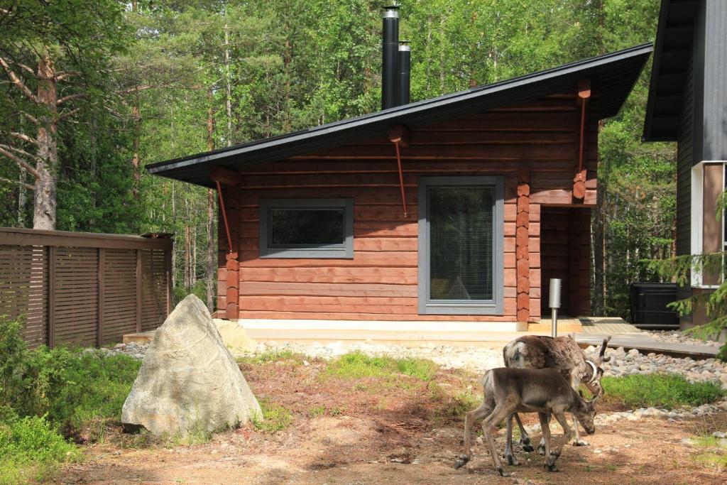 Casa o chalet Syöte Cottage