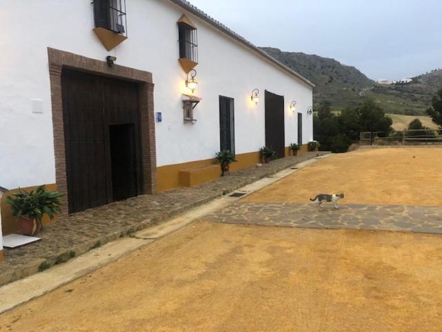 Casa rural Cortijo El Puntal de Teba