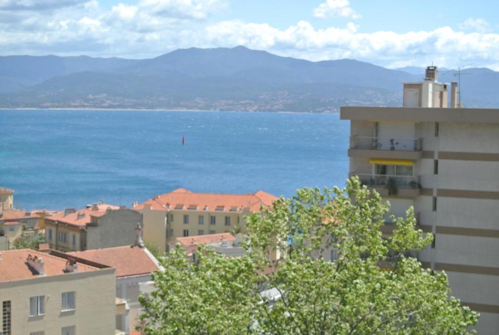 Hotel Adonis Ajaccio - Hôtel Albion