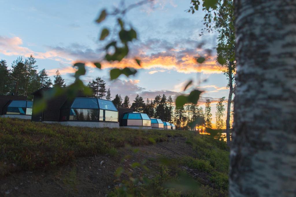 Hotel Arctic Fox Igloos