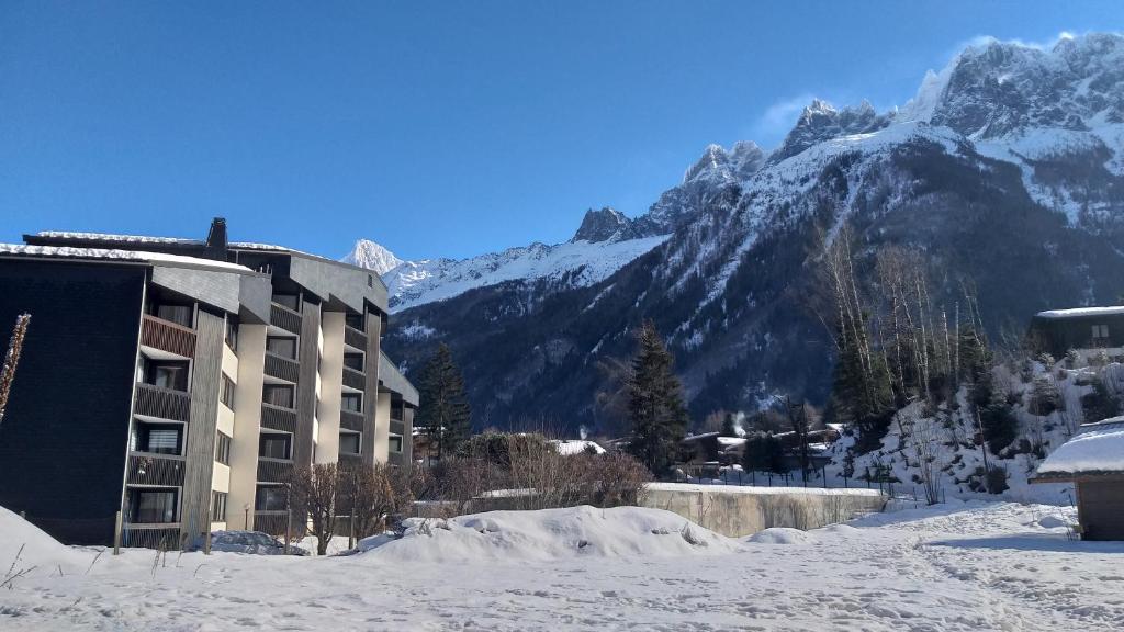 Apartamento studio plein sud vue Mont Blanc CHAMONIX