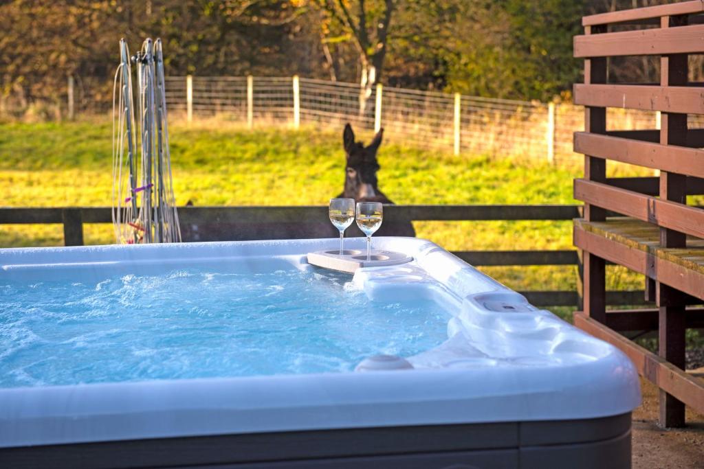Casa o chalet 2 Bed Lodge with private Hot Tub on Animal Haven Farm