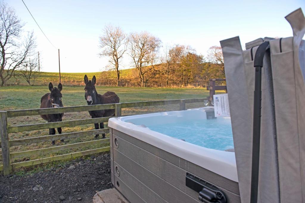 Casa o chalet 3 Bed Lodge w private Hot Tub on Animal Haven Farm