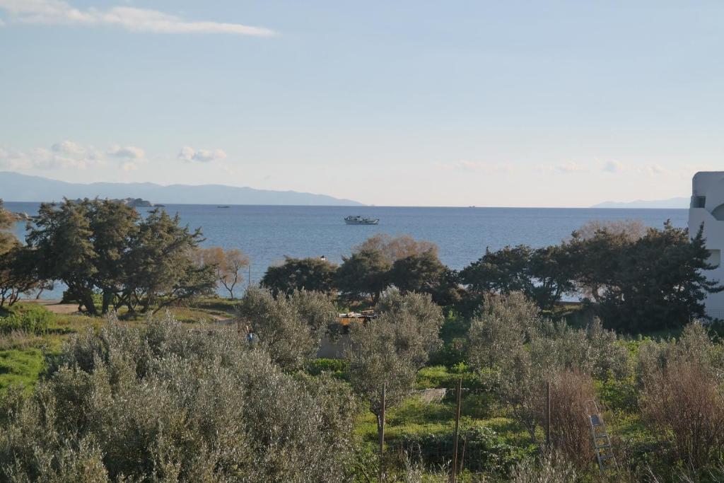 Hostal o pensión Mina's Studios in Naxos Island