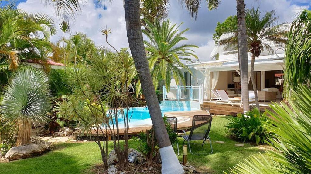 Villa Villa Piscine et Iguanes en bord de mer proche plages marina et golf