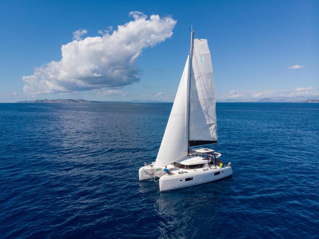 Barco Dream Of Life - Catamaran