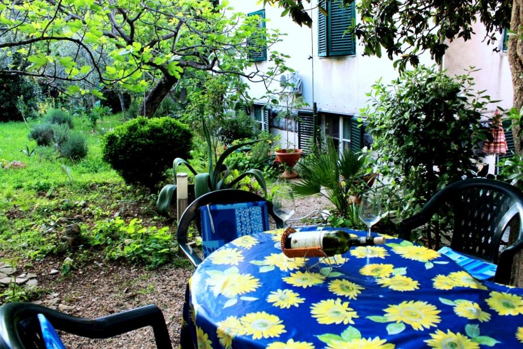 Hostal o pensión Guest house with garden - Zuvan