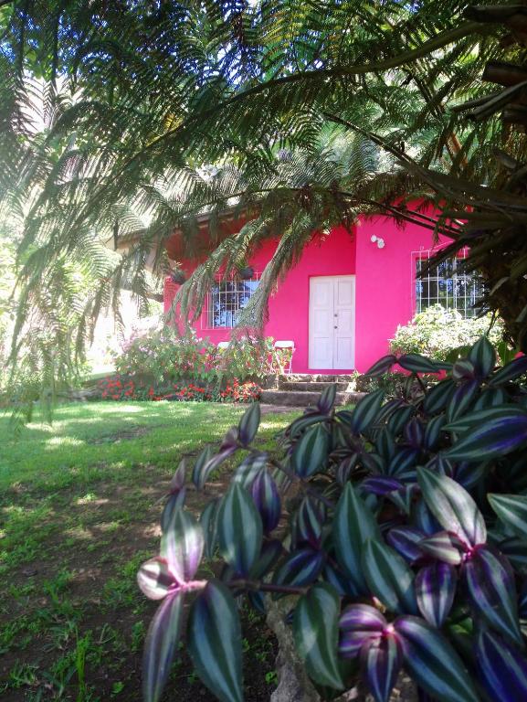 Albergue Pink house