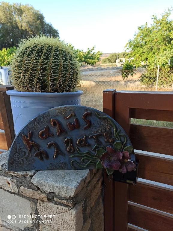 Casa o chalet Cactus Home