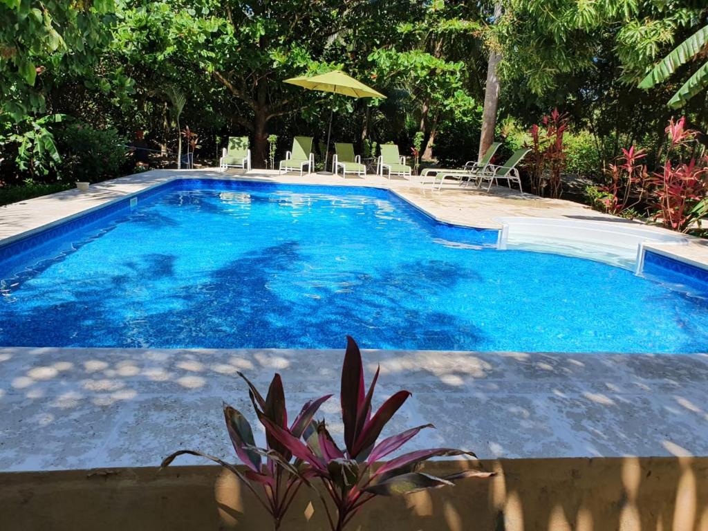 Casa o chalet Tropical Garden Villa
