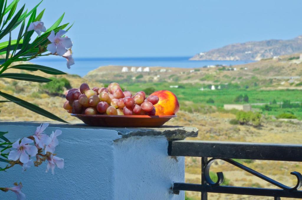 Apartahotel Naxos Filoxenia Agrotourism Hotel