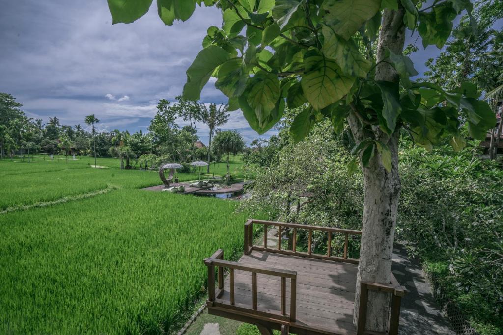 Camping resort KajaNe Yangloni at Ubud Bali
